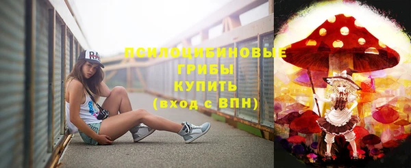 гидропоника Алзамай