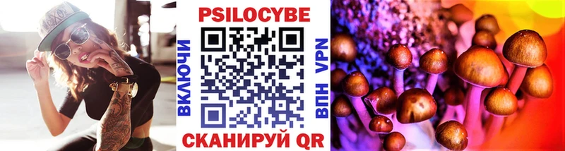 Галлюциногенные грибы Psilocybe  Ейск 