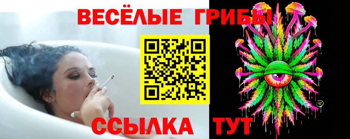 Псилоцибиновые грибы Magic Shrooms Ейск